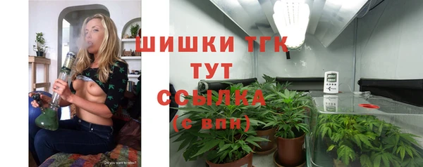 тгк Алексин